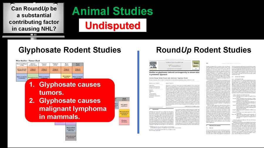 Animal studies: undisputed